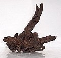 driftwood