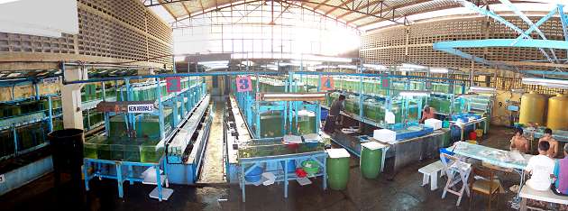 aquarium warehouse panoramic view